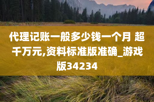 代理记账一般多少钱一个月 超千万元,资料标准版准确_游戏版34234