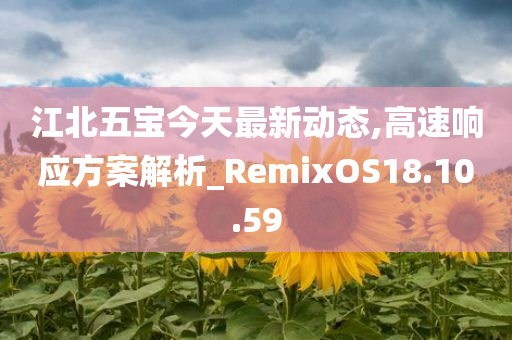 江北五宝今天最新动态,高速响应方案解析_RemixOS18.10.59