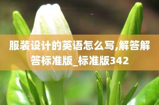 服装设计的英语怎么写,解答解答标准版_标准版342