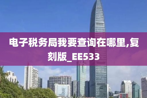 电子税务局我要查询在哪里,复刻版_EE533