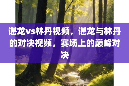 谌龙vs林丹视频，谌龙与林丹的对决视频，赛场上的巅峰对决