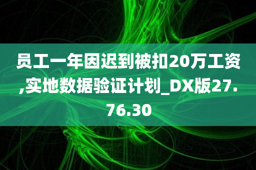 员工一年因迟到被扣20万工资,实地数据验证计划_DX版27.76.30