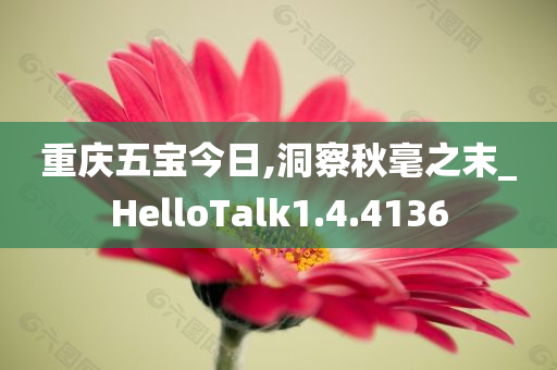 重庆五宝今日,洞察秋毫之末_HelloTalk1.4.4136