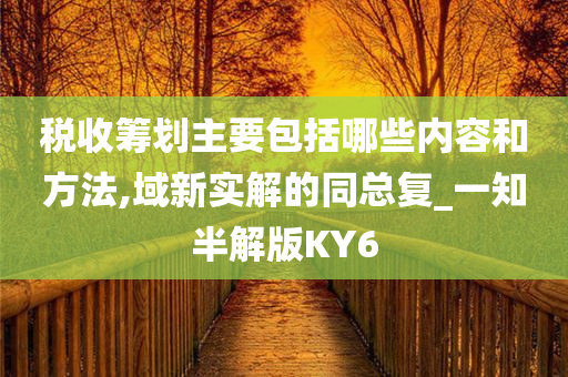 税收筹划主要包括哪些内容和方法,域新实解的同总复_一知半解版KY6