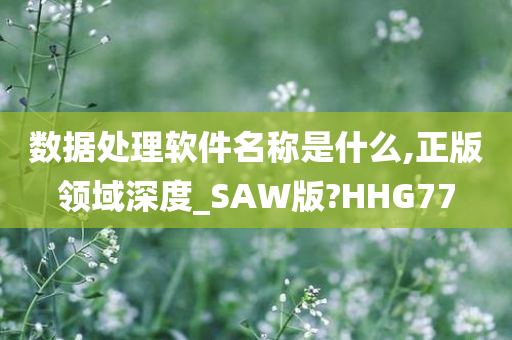 数据处理软件名称是什么,正版领域深度_SAW版?HHG77