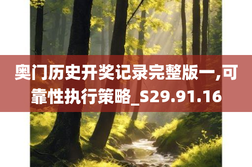 奥门历史开奖记录完整版一,可靠性执行策略_S29.91.16