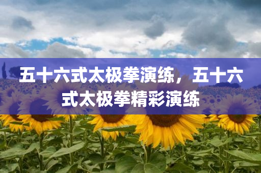 五十六式太极拳演练，五十六式太极拳精彩演练