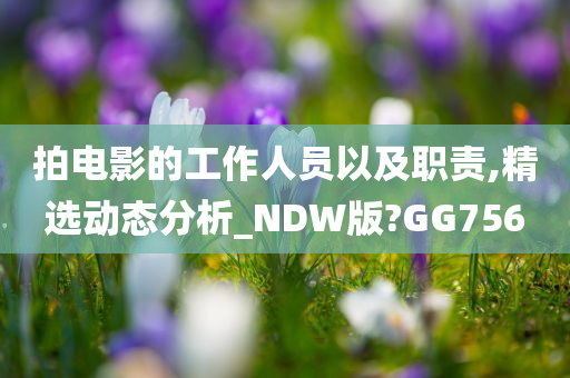 拍电影的工作人员以及职责,精选动态分析_NDW版?GG756