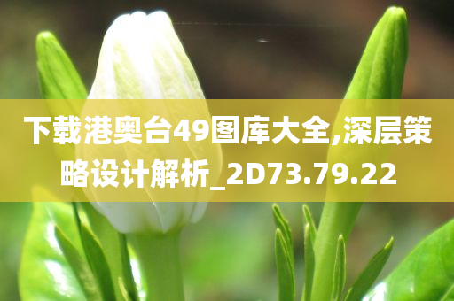 下载港奥台49图库大全,深层策略设计解析_2D73.79.22