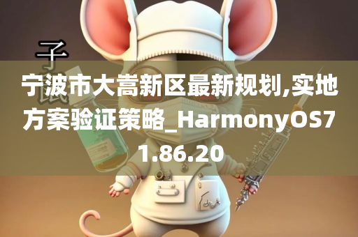 宁波市大嵩新区最新规划,实地方案验证策略_HarmonyOS71.86.20