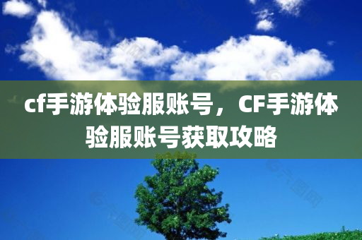 cf手游体验服账号，CF手游体验服账号获取攻略