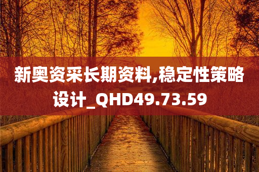 新奥资采长期资料,稳定性策略设计_QHD49.73.59