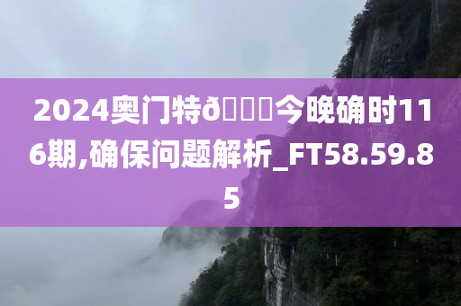 2024奥门特??今晚确时116期,确保问题解析_FT58.59.85