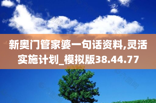 新奥门管家婆一句话资料,灵活实施计划_模拟版38.44.77