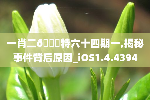 一肖二??特六十四期一,揭秘事件背后原因_iOS1.4.4394