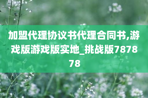 加盟代理协议书代理合同书,游戏版游戏版实地_挑战版787878