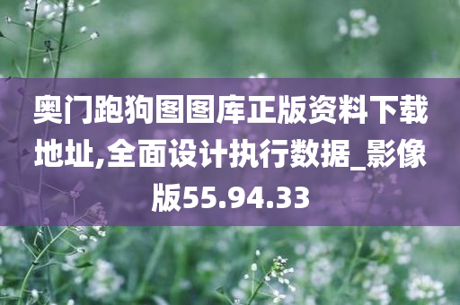 奥门跑狗图图库正版资料下载地址,全面设计执行数据_影像版55.94.33