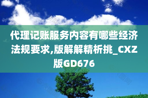 代理记账服务内容有哪些经济法规要求,版解解精析挑_CXZ版GD676