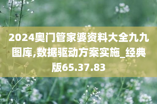 2024奥门管家婆资料大全九九图库,数据驱动方案实施_经典版65.37.83