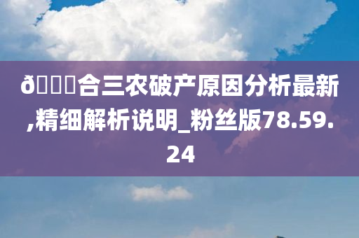 ??合三农破产原因分析最新,精细解析说明_粉丝版78.59.24