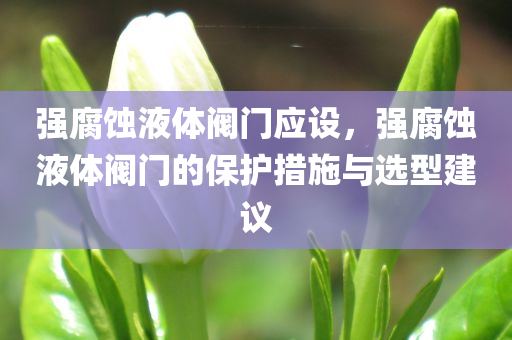 强腐蚀液体阀门应设，强腐蚀液体阀门的保护措施与选型建议
