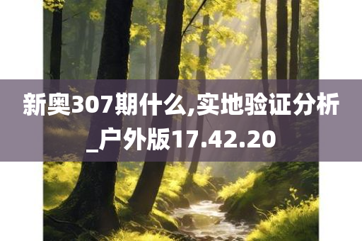 新奥307期什么,实地验证分析_户外版17.42.20