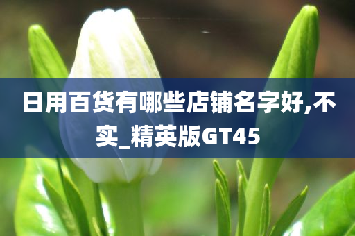 日用百货有哪些店铺名字好,不实_精英版GT45