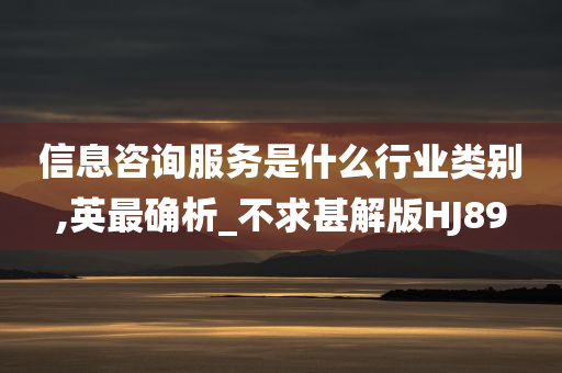 信息咨询服务是什么行业类别,英最确析_不求甚解版HJ89