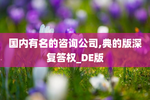 国内有名的咨询公司,典的版深复答权_DE版