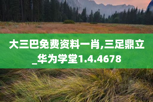 大三巴免费资料一肖,三足鼎立_华为学堂1.4.4678