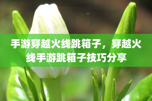 手游穿越火线跳箱子，穿越火线手游跳箱子技巧分享