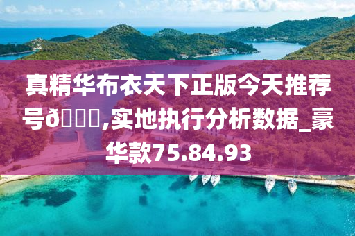 真精华布衣天下正版今天推荐号??,实地执行分析数据_豪华款75.84.93