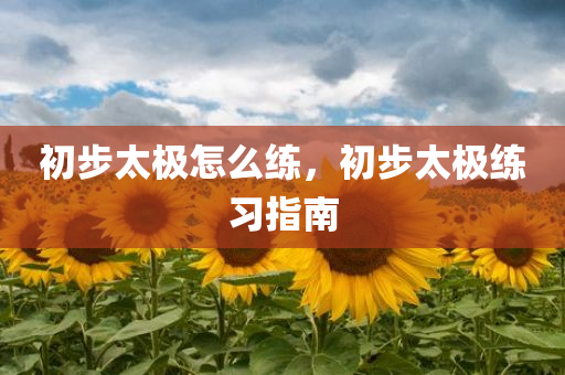 初步太极怎么练，初步太极练习指南