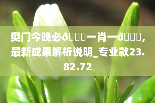 奥门今晚必??一肖一??,最新成果解析说明_专业款23.82.72