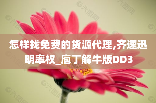 怎样找免费的货源代理,齐速迅明率权_庖丁解牛版DD3