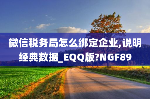 微信税务局怎么绑定企业,说明经典数据_EQQ版?NGF89