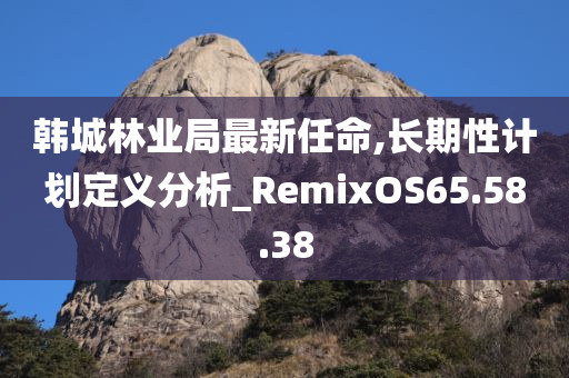韩城林业局最新任命,长期性计划定义分析_RemixOS65.58.38