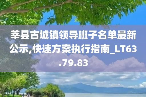莘县古城镇领导班子名单最新公示,快速方案执行指南_LT63.79.83