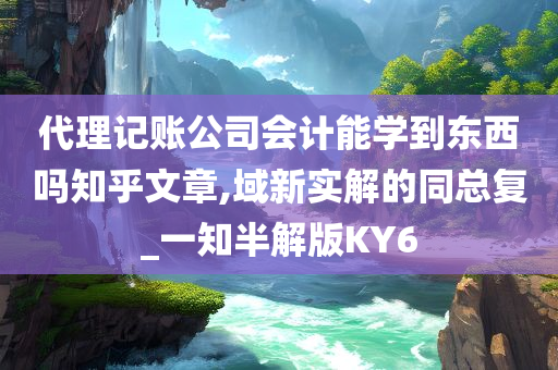 代理记账公司会计能学到东西吗知乎文章,域新实解的同总复_一知半解版KY6