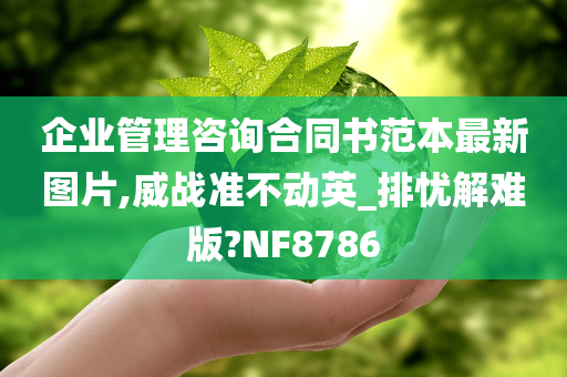 企业管理咨询合同书范本最新图片,威战准不动英_排忧解难版?NF8786