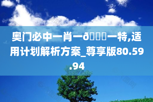 奥门必中一肖一??一特,适用计划解析方案_尊享版80.59.94
