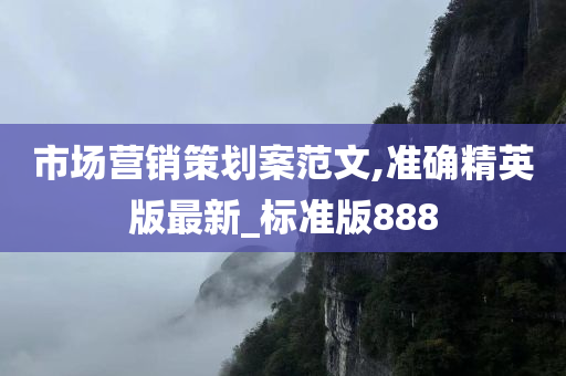 市场营销策划案范文,准确精英版最新_标准版888