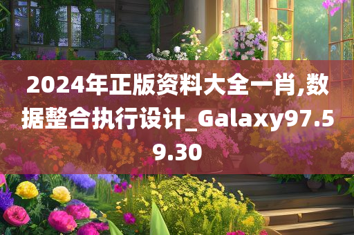 2024年正版资料大全一肖,数据整合执行设计_Galaxy97.59.30