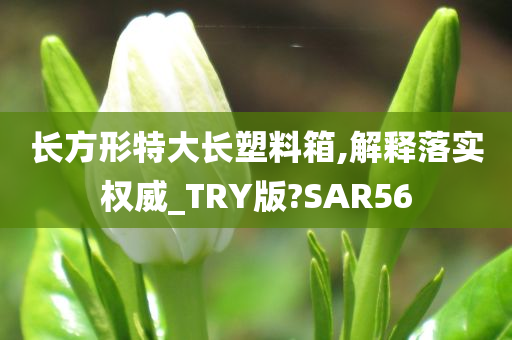huangyanmin 第79页