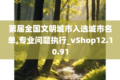 第届全国文明城市入选城市名单,专业问题执行_vShop12.10.91