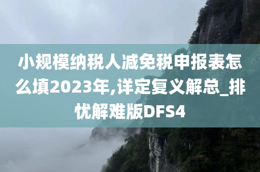 小规模纳税人减免税申报表怎么填2023年,详定复义解总_排忧解难版DFS4