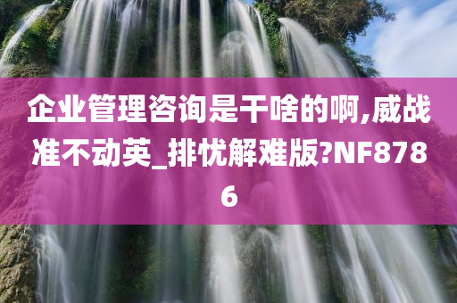 企业管理咨询是干啥的啊,威战准不动英_排忧解难版?NF8786