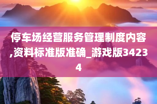 停车场经营服务管理制度内容,资料标准版准确_游戏版34234