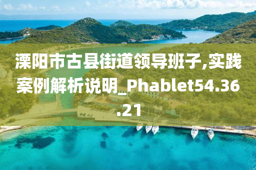 溧阳市古县街道领导班子,实践案例解析说明_Phablet54.36.21