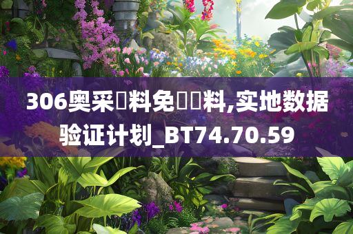 306奥采資料免費資料,实地数据验证计划_BT74.70.59